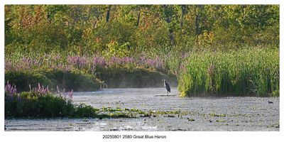 Recent Photos 2025