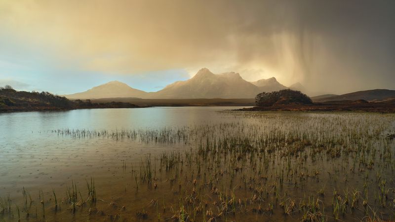 Sublime Ben Loyal
