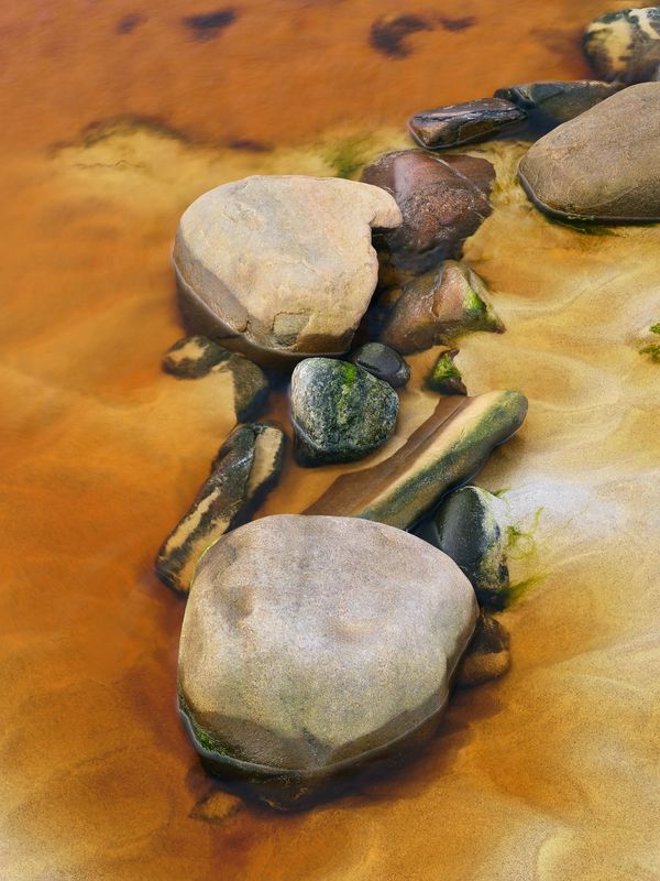 Fine Art
