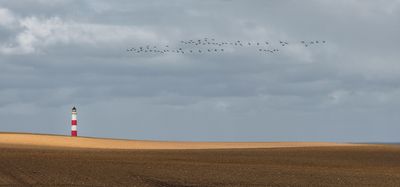 Formation Flying Portmahomack