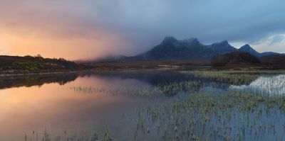 Marmalade Ben Loyal