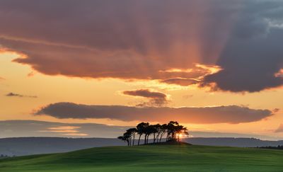 Sunset Rays Gollanfield