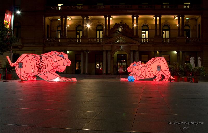 100219_054430_5464 Pouncey Pounce