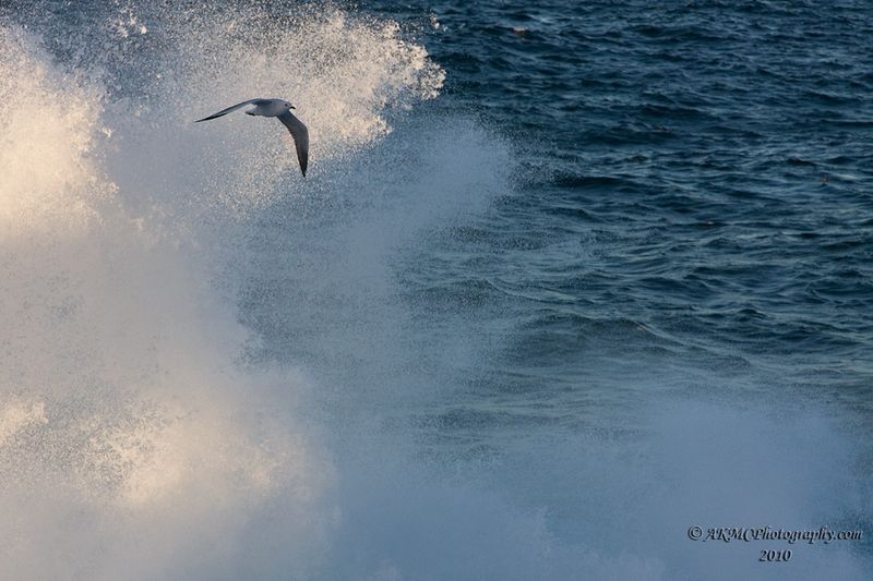 100426_065556_8075 Surfing The Air