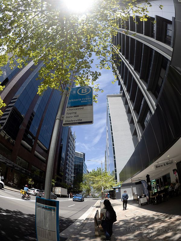 250121_123947_1212089 Lunchtime, Miller Street, North Sydney (Tue 21 Jan 25)