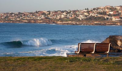 100814_070252_9886 The Surf Side Seat