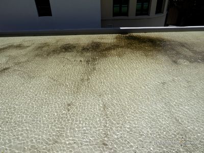 160107_112756_0015 The Rippled Roof (Thu 07 Jan 16)