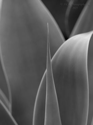 g13/02/778602/3/175192909.28c92c8e.JPEG