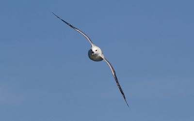 g13/02/786002/3/173409392.a657e475.JPEG