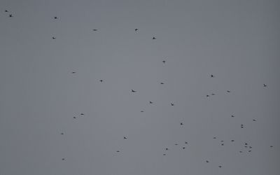 g13/02/786002/3/174433138.8c9c77a9.JPEG
