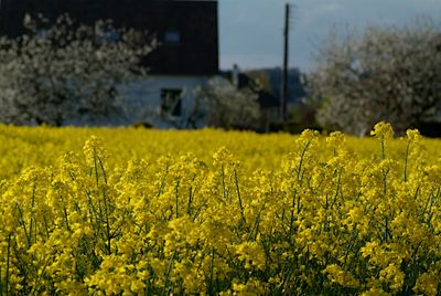 L'Aigle, Normandie, France