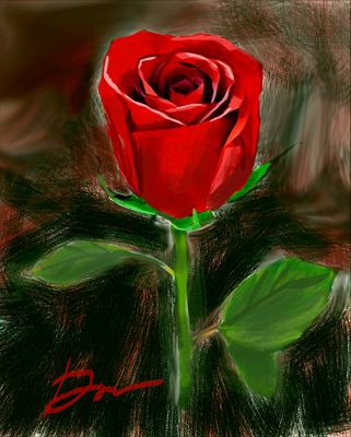 Valentine's Day Rose-2025  original not available