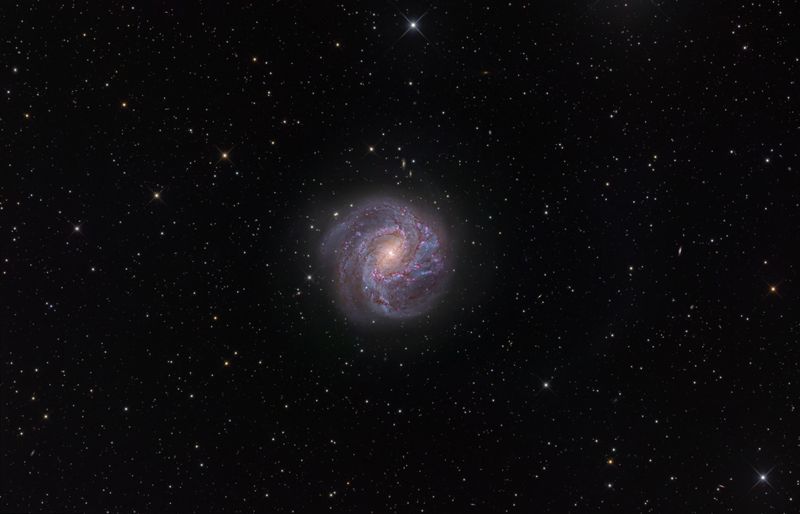 NGC5236 (M83) - Barred Spiral Galaxy (repro)