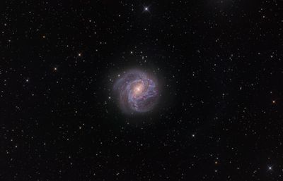 NGC5236 (M83) - Barred Spiral Galaxy (repro)