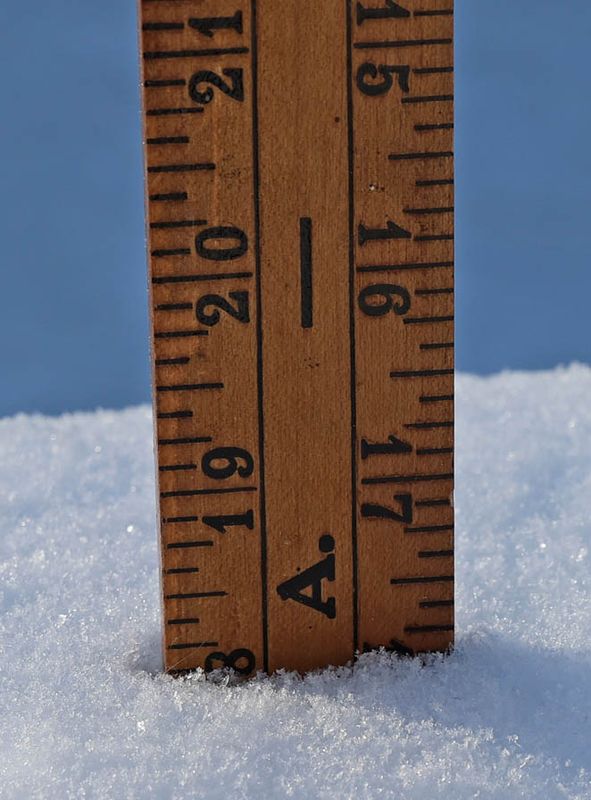 18 inches (46 centimeters)