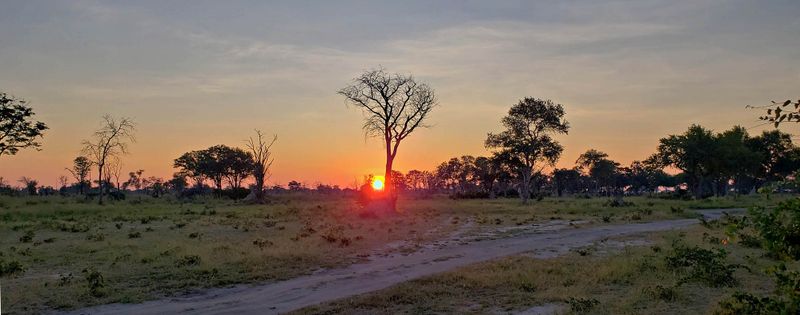 Sunrise