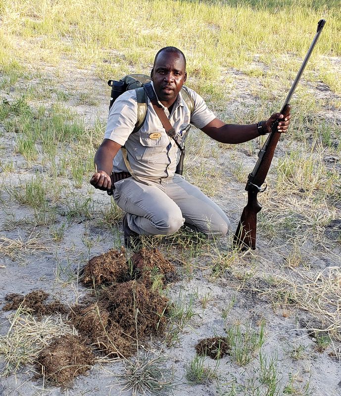 Elephant Dung