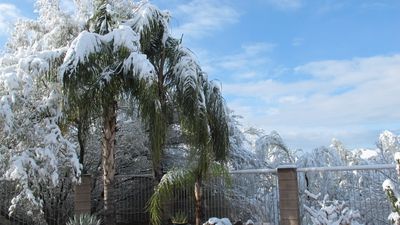 Oro Valley, Arizona