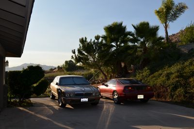 Cars That Are Visiting
