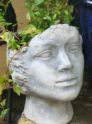 Open head planter.