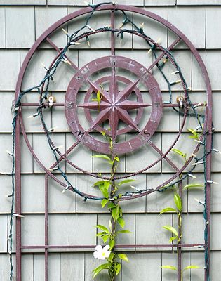 Compass trellis.