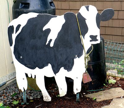Holstein cow cut-out sculpture.