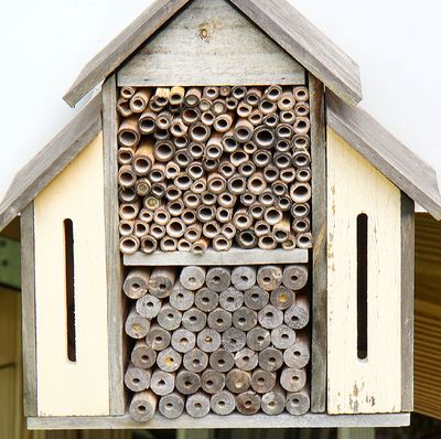 House for solitary bees.