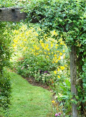 Arch with yellow flowers.