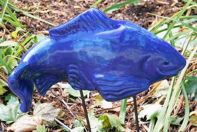 Blue ceramic fish (staked).