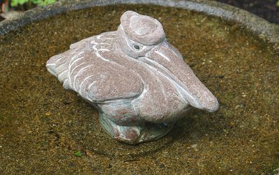 Pelican sculpture in birdbath.