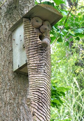 Birdhouse with beard.