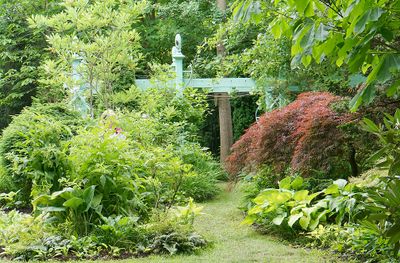 Garden scene.