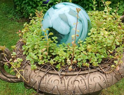 Golden planter with ball.