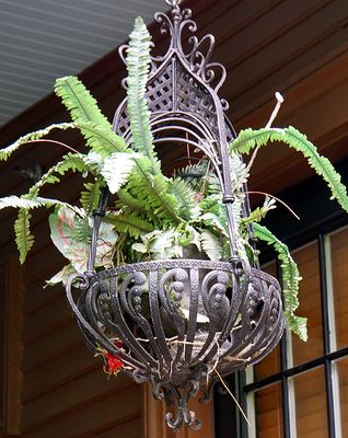 Hanging planter on back porch.