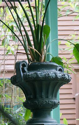 Planter on back porch.