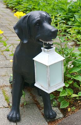 Dog (black lab) sculpture with lantern.