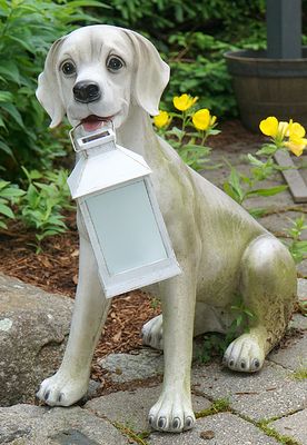 Dog (yellow lab) sculpture with lantern.