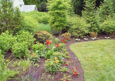 Garden corner.