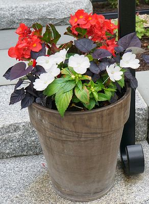 Planter.