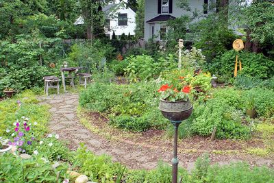 Garden wide view.