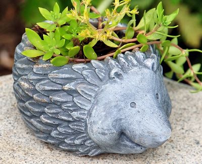 Hedgehog planter.
