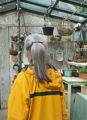 Greenhouse interior.