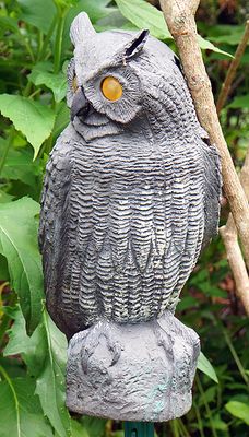 Owl sculpture, hanging.