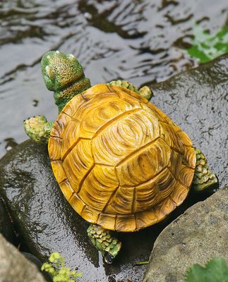 Turtle sculpture.