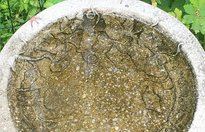 Birdbath design detail.