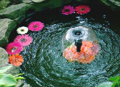 Bubbling pond with floating flowers.