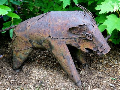 Wart hog sculpture.