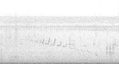 Spectrogram of Canyon Wren song