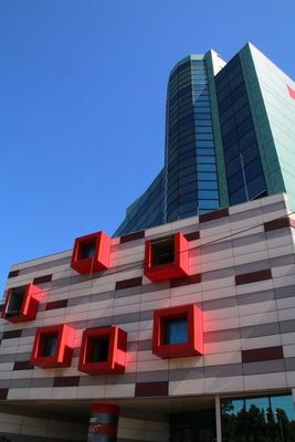 IMG_8255