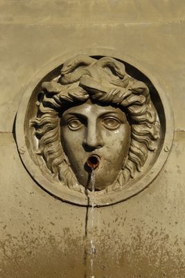 Tte de Mduse de la fontaine L'automne de Raon l'Etape